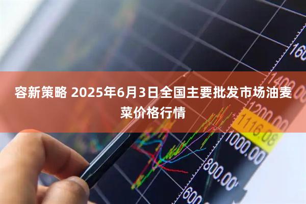 容新策略 2025年6月3日全国主要批发市场油麦菜价格行情