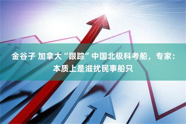 金谷子 加拿大“跟踪”中国北极科考船，专家：本质上是滋扰民事船只