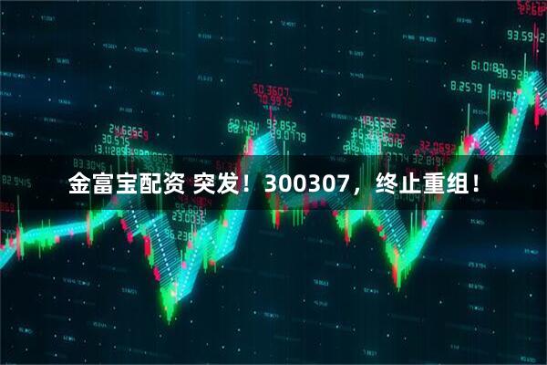 金富宝配资 突发！300307，终止重组！