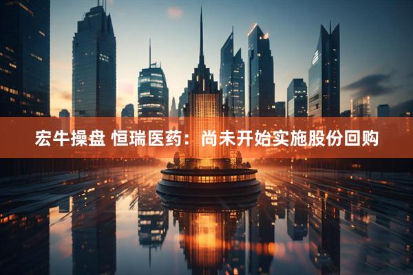 宏牛操盘 恒瑞医药：尚未开始实施股份回购