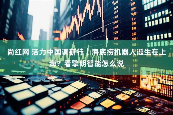 尚红网 活力中国调研行｜海底捞机器人诞生在上海？看擎朗智能怎么说