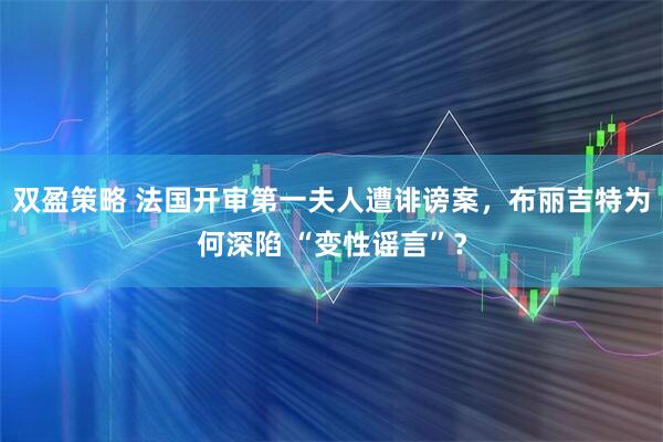 双盈策略 法国开审第一夫人遭诽谤案，布丽吉特为何深陷 “变性谣言”？